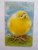 Easter Greetings Postcard Giant Puffy Baby Chick Blue Skies Vintage Original