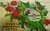 Vintage Christmas Postcard Original Embossed GMNY Gel Coat Poinsettias Antique