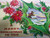 Vintage Christmas Postcard Original Embossed GMNY Gel Coat Poinsettias Antique