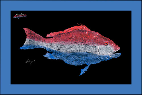 Realfish Gyotaku Series: “American  Snapper “Blue Border Floor Mat 24x36