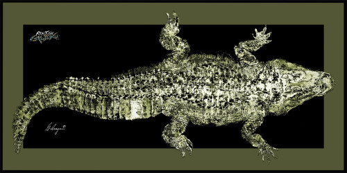 Realfish Gyotaku Series: " Alligator " floormat size 18x40 Realfish Gyotaku Series: " Alligator " floormat size 18x40