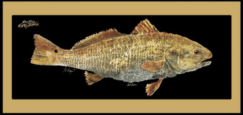 Redfish
