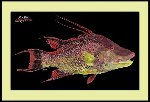 Realfish Gyotaku Series: “Hogfish" Floor Mat 36x24
