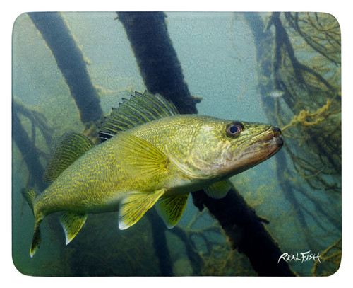 Walleye cutting board
