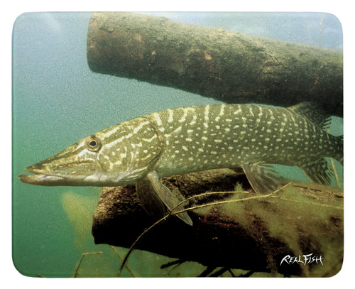 Northern pike cutting board