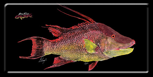 Hogfish license plate