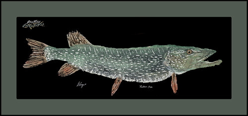 Realfish Gyotaku Series: “Northern Pike" Floor Mat 40X18