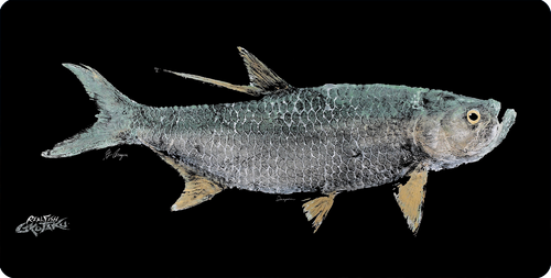 Realfish Gyotaku Series : "Tarpon" Large Mouse Pad 36x18