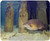 Small-Mouth Bass