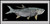 Tarpon 40x18