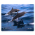 Realfish H20 Series Spinner Dolphins 12X15 Cutting Board