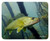 Realfish Inland Series: Walleye 12x15 Cutting Boards
