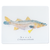 Snook cutting board