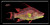 Realfish gyotaku Hogfish License Plate