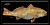 Realfish Gyotaku Redfish License Plate
