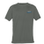 Queen Triggerfish front