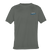 Queen Triggerfish, Gray, front