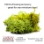 The Army Painter - Battlefield Basing: Summer Undergrowth