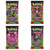 Pokémon TCG: Scarlet & Violet Shrouded Fable Kingambit Illustration Collection Pokémon TCG: Scarlet & Violet Shrouded Fable Kingambit Illustration Collection