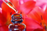 Essence Preservatives: Brandy vs Vinegar