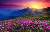 Eden In Our Hearts: The Genesis Story of Vibrations and Frequencies
