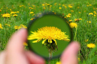 How Do We Know What The Flowers Do?