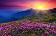 Eden In Our Hearts: The Genesis Story of Vibrations and Frequencies