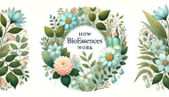 How Bioessences Work
