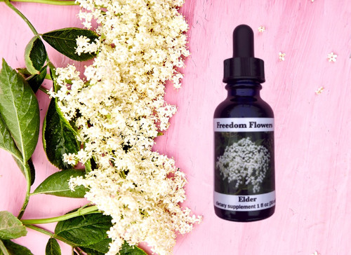 Elder Flower Essence bottle with Elder flower