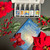 Accessing Your Spiritual Inheritance book and Spiritual Development Essence Kit with red Christmas flowers and berries