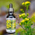 Rue flower essence bottle with Rue plant blooming in background.