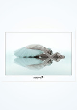 Danzarte Swan Postcard White Main 2 [White]