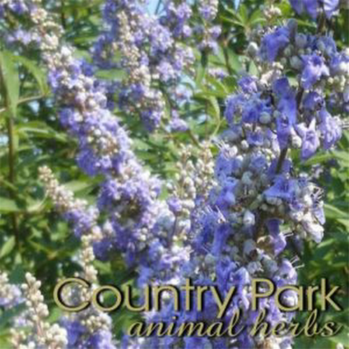 Walkenny Park - Chastetree Berry Powder 5kg