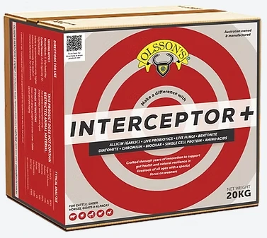 Salt Block - Interceptor + - 20kg (olssons)