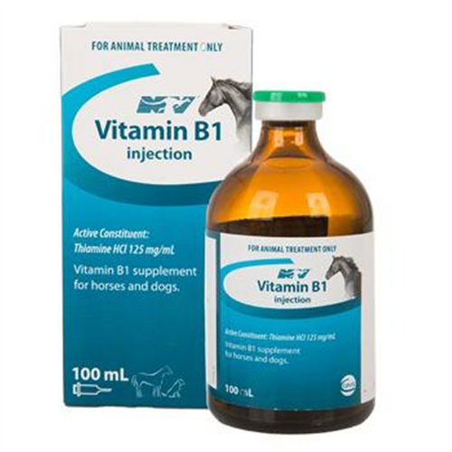 Vitamin  B1  100ml (nv)