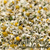 Country Park - Chamomile Flowers 1kg