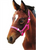 Headstall Webbing S/c Foal  (6300he)