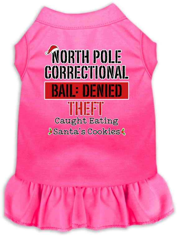 North Pole Correctional Screen Print Dog Dress Bright Pink Size Lg