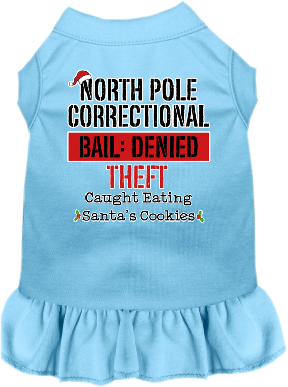 North Pole Correctional Screen Print Dog Dress Baby Blue Size 4x