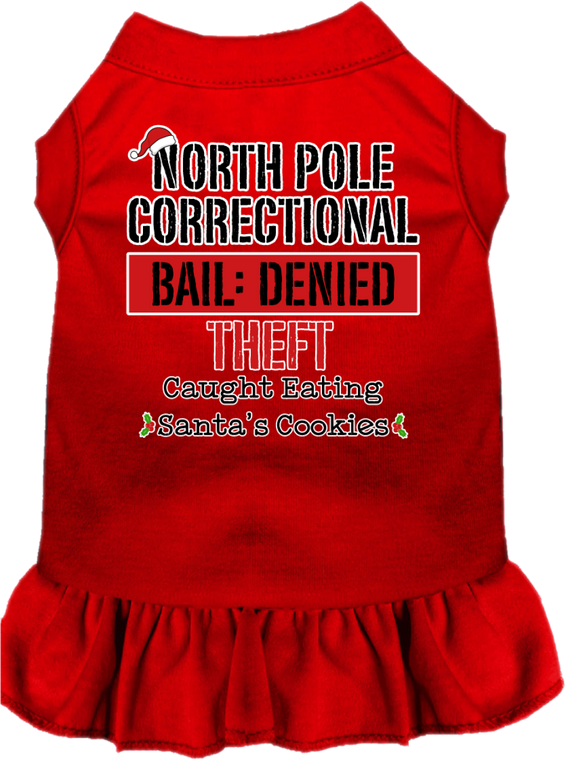 North Pole Correctional Screen Print Dog Dress Red Size Xxxl