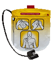 Defibtech VIEW Adult Pads