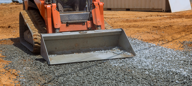 Why the New Dingo Line-Up Is a Game-Changer