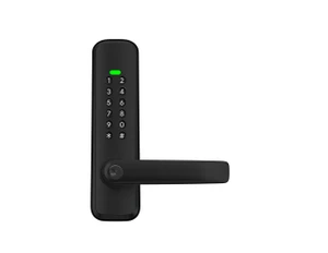Sylvan Smart Electronic Entry door lock SL47e