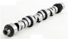 1992 Dodge D250 3.9L Engine Camshaft ES9559.P4