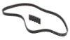2000 Volkswagen Beetle 1.9L Engine Timing Belt TB321.P3