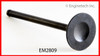1996 Acura SLX 3.2L Engine Exhaust Valve EM2809.P10