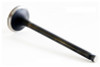 1988 Mazda 323 1.6L Engine Exhaust Valve EM2831.P1