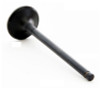2001 Honda Passport 3.2L Engine Exhaust Valve EM3461.P17