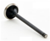 1998 Nissan Sentra 1.6L Engine Exhaust Valve EM3489.P11