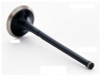 2001 Toyota Tundra 4.7L Engine Exhaust Valve EM3507.P22